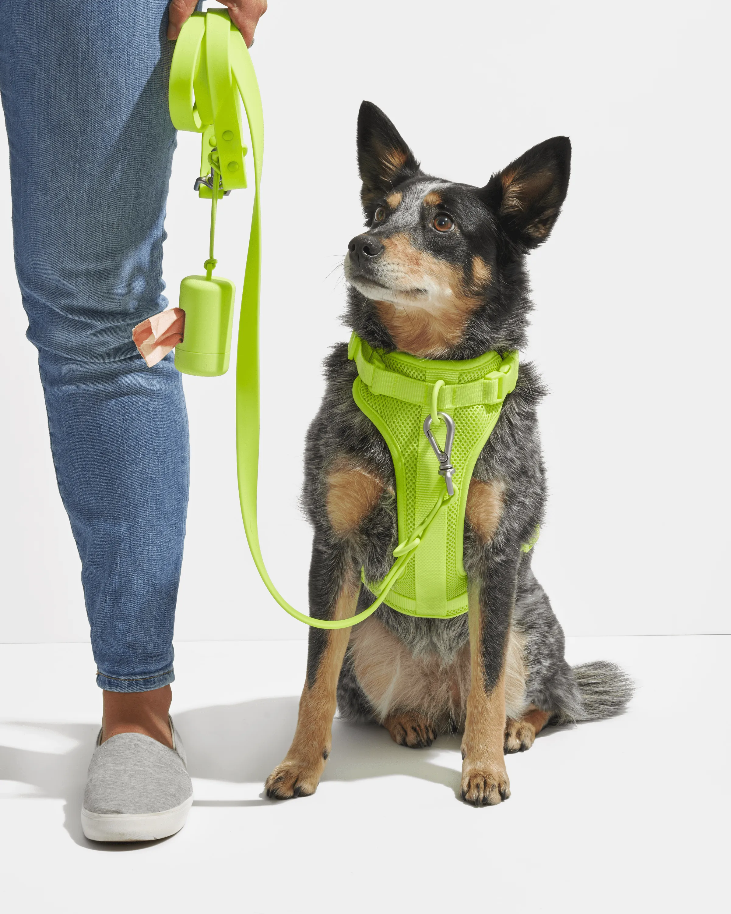 Poop Bag Carrier