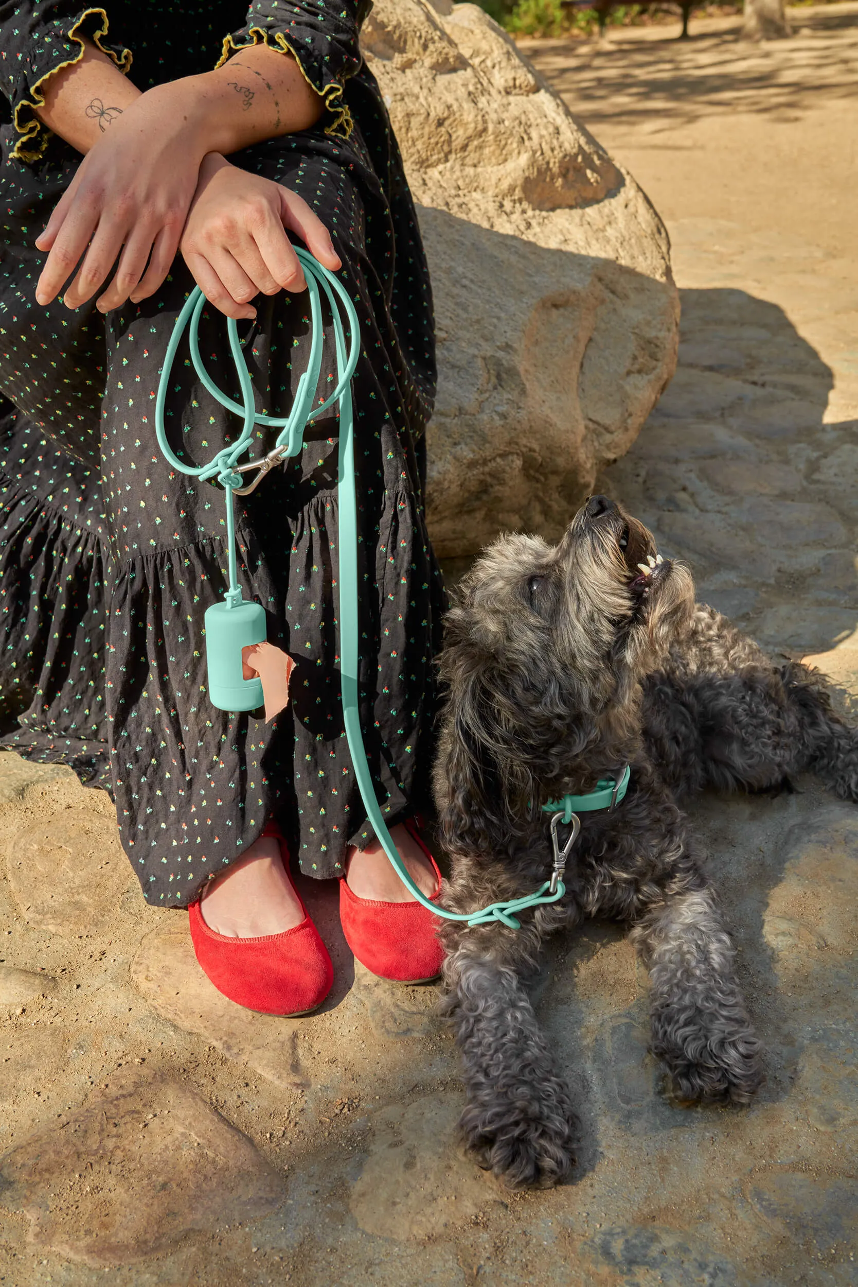 Poop Bag Carrier