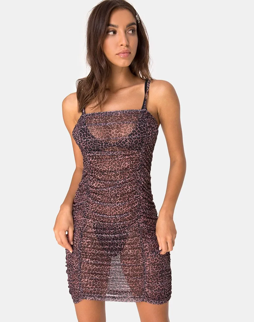 Seruchi Bodycon Dress in Rar Leopard Mesh